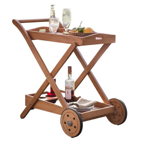 Lander Outdoor Eucalyptus Wood Drinks Trolley In Natural | Furniture in ...