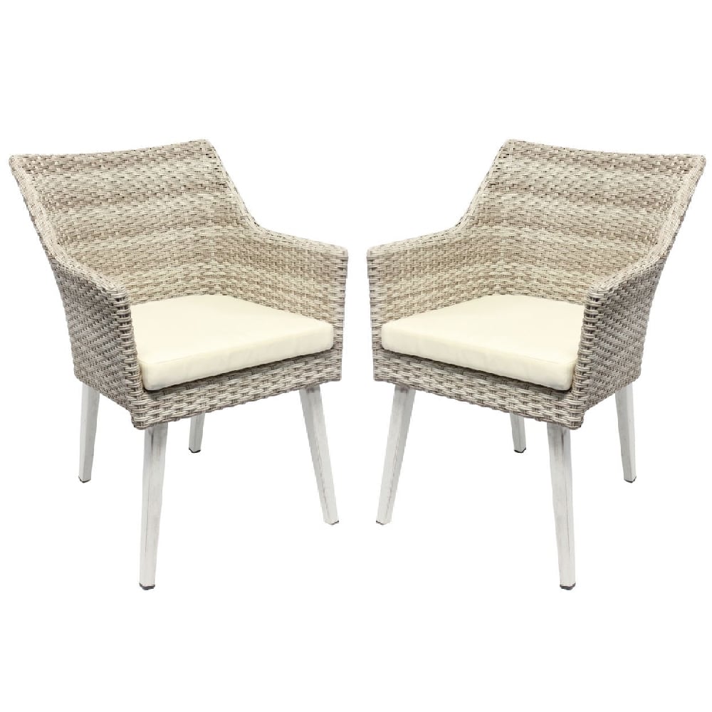 arlo cream rattan dining chairs in pair