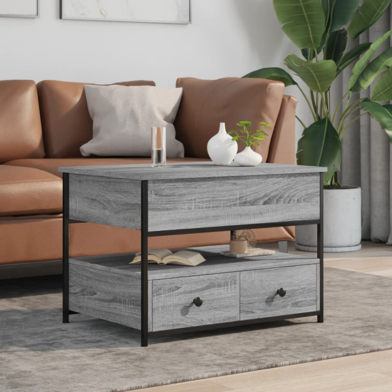 Product photograph of Chester Wooden Coffee Table Small With 2 Drawers In Grey Sonoma from Furniture in Fashion