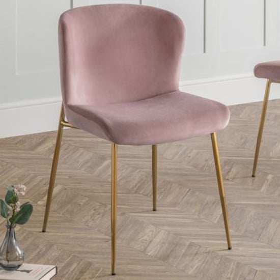 Product photograph of Haimi Velvet Dining Chair In Dusky Pink With Gold Metal Legs from Furniture in Fashion