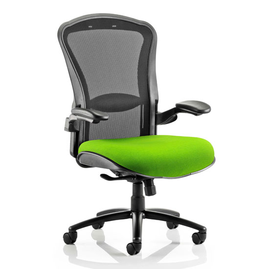 Read more about Houston heavy black back office chair with myrrh green seat
