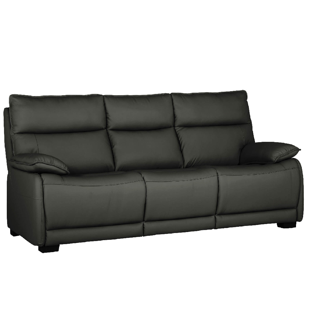 Product photograph of Laramie Leather 3 Seater Sofa With Oak Legs In Dark Grey from Furniture in Fashion