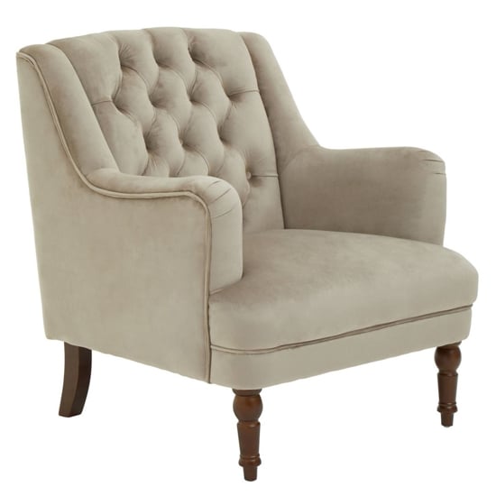Product photograph of Lillie Velvet Upholstered Armchair In Mink from Furniture in Fashion