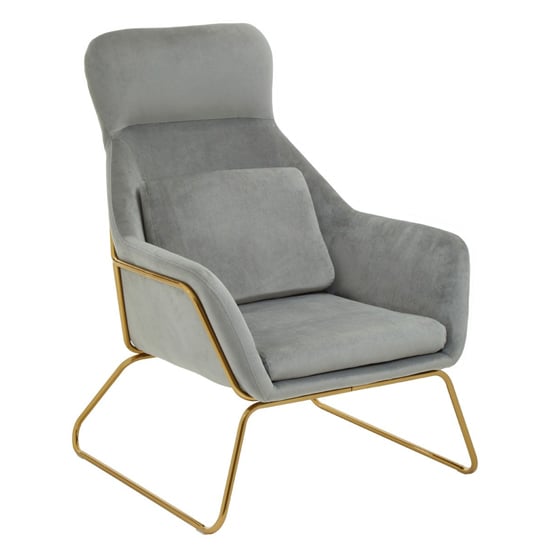 Read more about Porrima velvet armchair with gold metal frame in grey