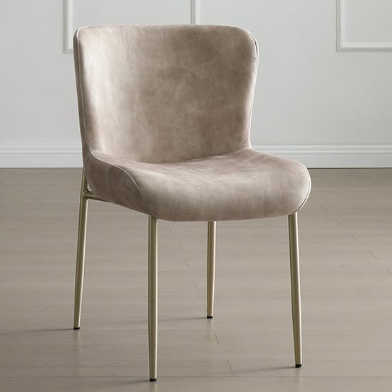 primm fabric dining chair in champagne