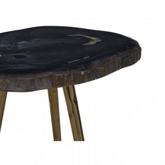 Relics Petrified Wood Top Side Table In Black With Steel Legs | FiF