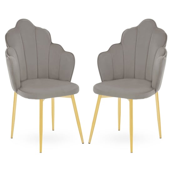 Read more about Tania grey velvet dining chairs with gold legs in a pair
