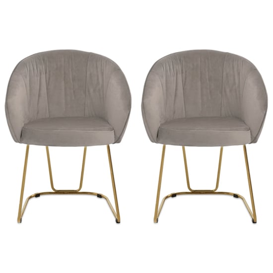 Read more about Vinita upholstered mink velvet dining chairs in a pair