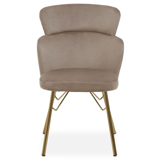 Read more about Vinita upholstered velvet bedroom chair in mink